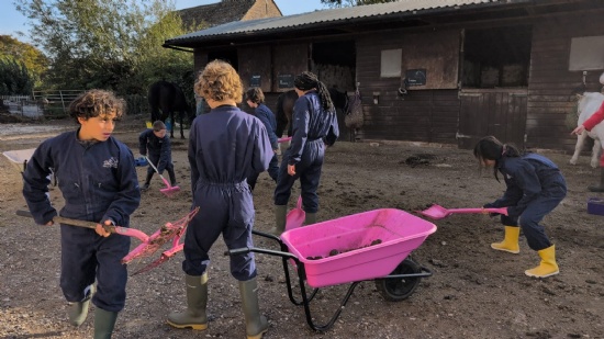 Experienced farmers now! Day 4 at Wick Court