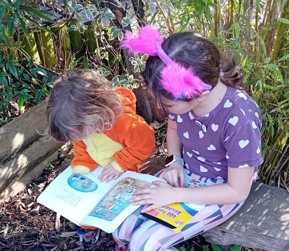 Whole School Newsletter 6th March 2026